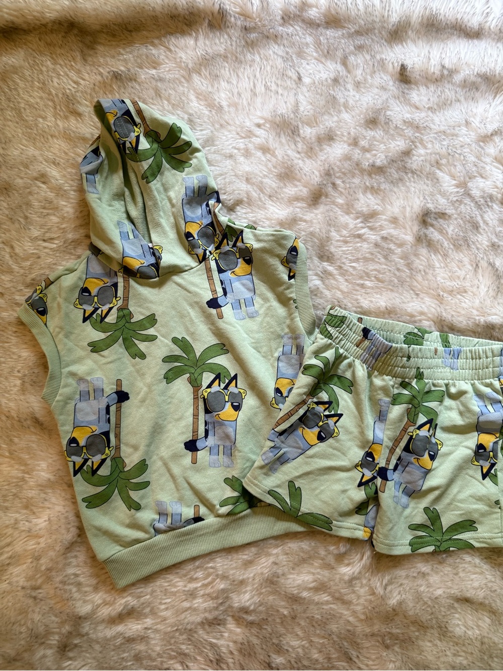 3T Bluey Outfit